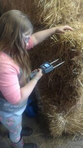 Straw Bale House in the City, Part 3: Costs and Straw Bale Density Image